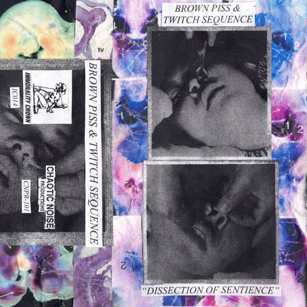 Brown Piss & Twitch Sequence : Dissection Of Sentience (Cass)